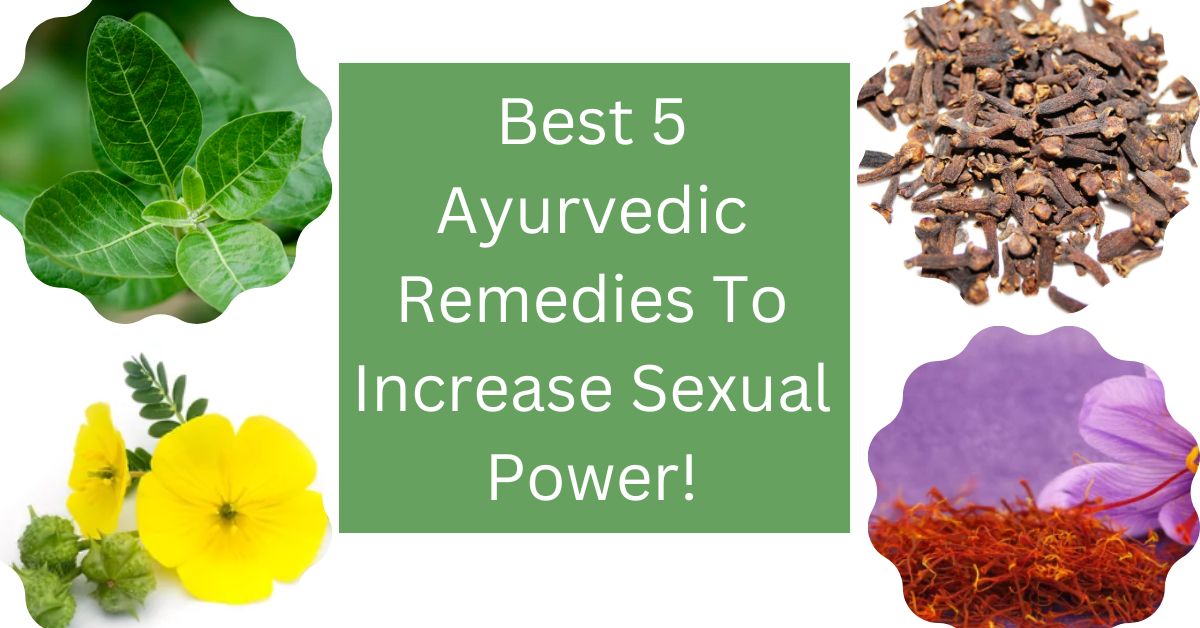 Best 5 Ayurvedic Remedies To Increase Sexual Power 8253